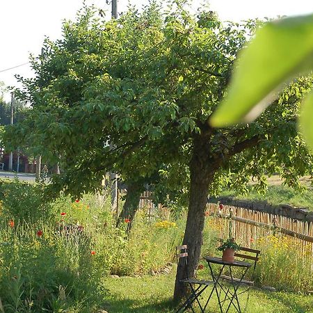 Ferienwohnung Katzstein Cunnersdorf Екстериор снимка