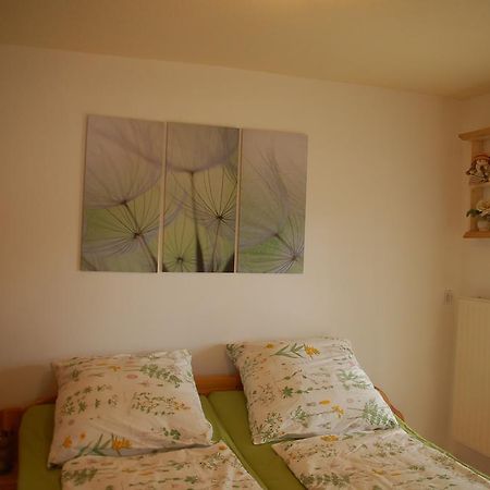 Ferienwohnung Katzstein Cunnersdorf Екстериор снимка